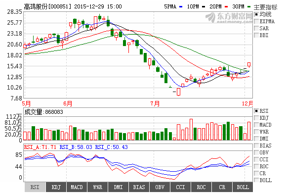 高鸿股份 计算机软硬件技术开发的战略解析与未来展望